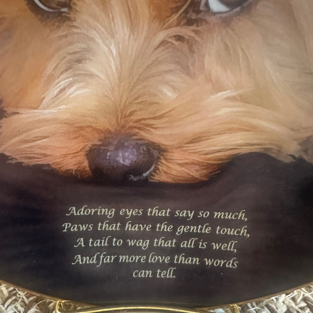Decorative Plate with Yorkie “Adoring Eyes” Porcelain Danbury Mint & Certificate - Picture 3 of 5